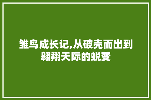 雏鸟成长记,从破壳而出到翱翔天际的蜕变