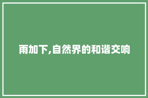 雨加下,自然界的和谐交响