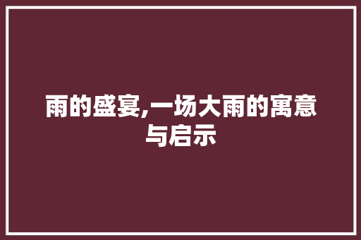 雨的盛宴,一场大雨的寓意与启示