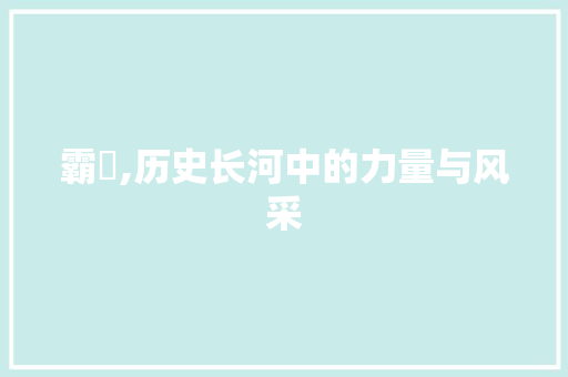 霸氣,历史长河中的力量与风采
