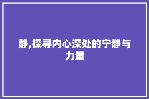 静,探寻内心深处的宁静与力量