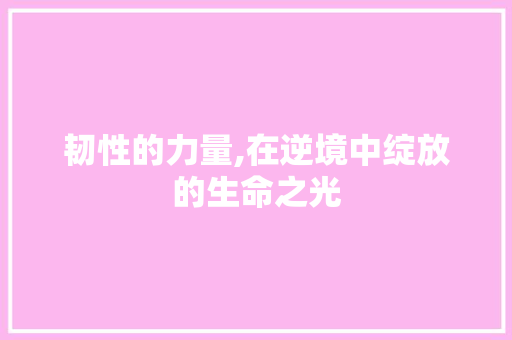 韧性的力量,在逆境中绽放的生命之光