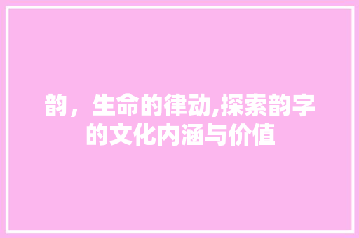 韵，生命的律动,探索韵字的文化内涵与价值