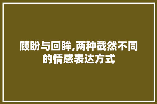 顾盼与回眸,两种截然不同的情感表达方式