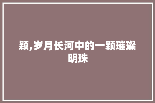 颖,岁月长河中的一颗璀璨明珠