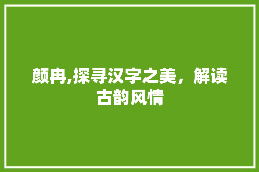颜冉,探寻汉字之美，解读古韵风情