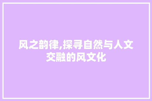 风之韵律,探寻自然与人文交融的风文化