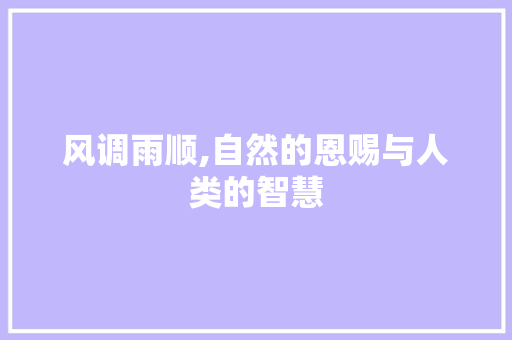 风调雨顺,自然的恩赐与人类的智慧