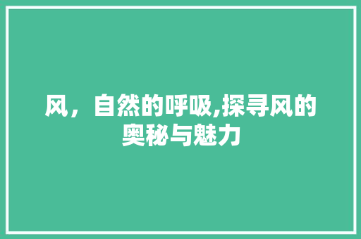 风，自然的呼吸,探寻风的奥秘与魅力