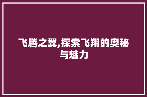 飞腾之翼,探索飞翔的奥秘与魅力