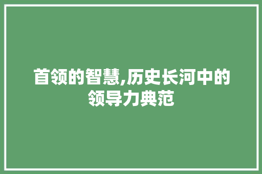 首领的智慧,历史长河中的领导力典范
