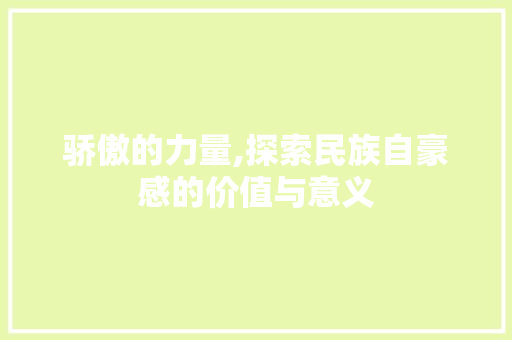骄傲的力量,探索民族自豪感的价值与意义