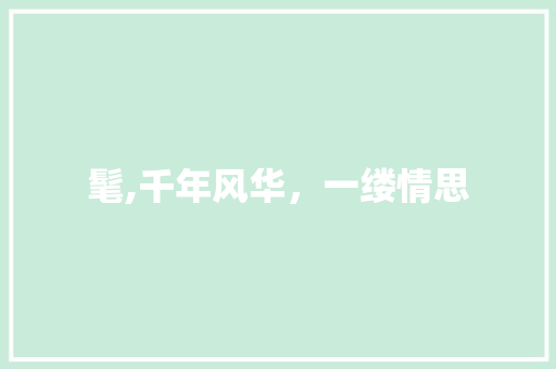 髦,千年风华，一缕情思