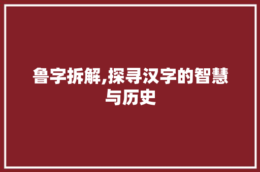 鲁字拆解,探寻汉字的智慧与历史