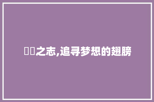 鴻鴻之志,追寻梦想的翅膀