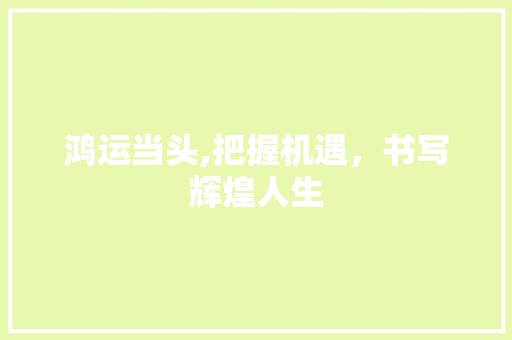 鸿运当头,把握机遇，书写辉煌人生