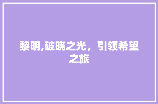 黎明,破晓之光，引领希望之旅