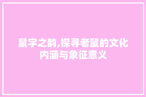鼠字之韵,探寻老鼠的文化内涵与象征意义