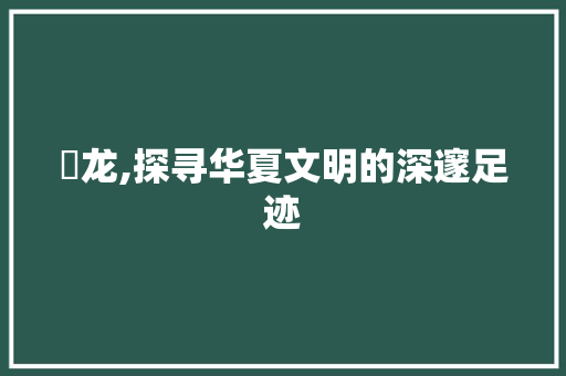 龗龙,探寻华夏文明的深邃足迹