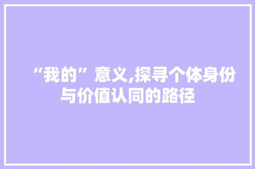 “我的”意义,探寻个体身份与价值认同的路径