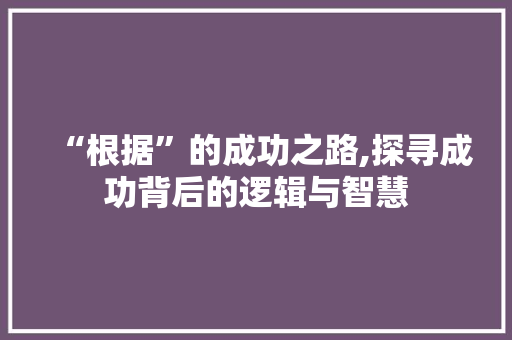 “根据”的成功之路,探寻成功背后的逻辑与智慧