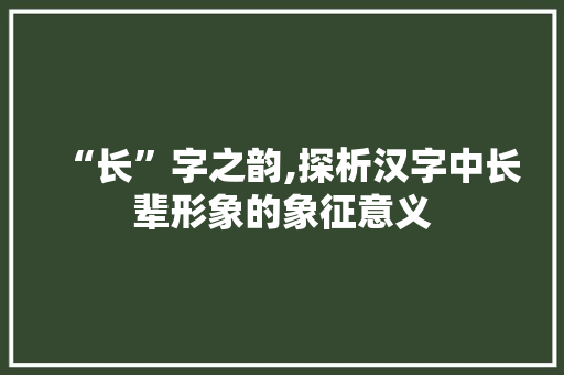 “长”字之韵,探析汉字中长辈形象的象征意义