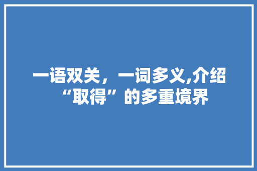 一语双关，一词多义,介绍“取得”的多重境界