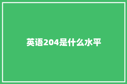 英语204是什么水平