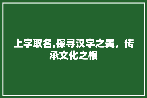 上字取名,探寻汉字之美，传承文化之根