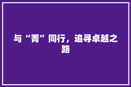与“菁”同行，追寻卓越之路