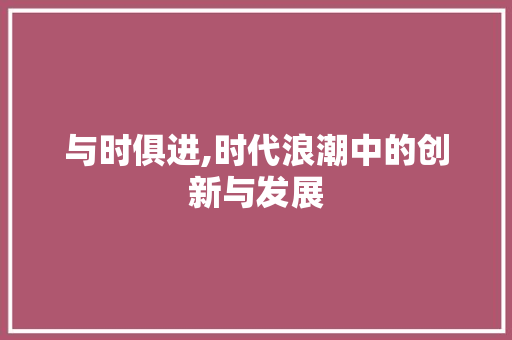 与时俱进,时代浪潮中的创新与发展