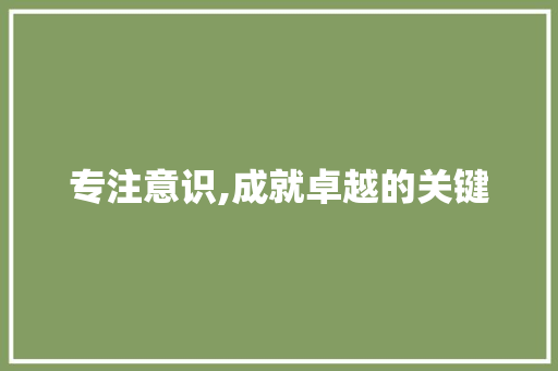 专注意识,成就卓越的关键