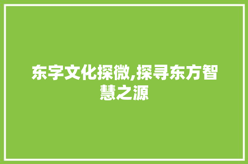 东字文化探微,探寻东方智慧之源