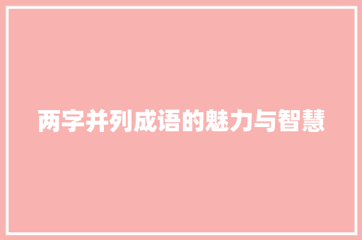 两字并列成语的魅力与智慧