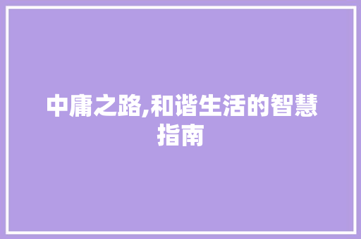 中庸之路,和谐生活的智慧指南