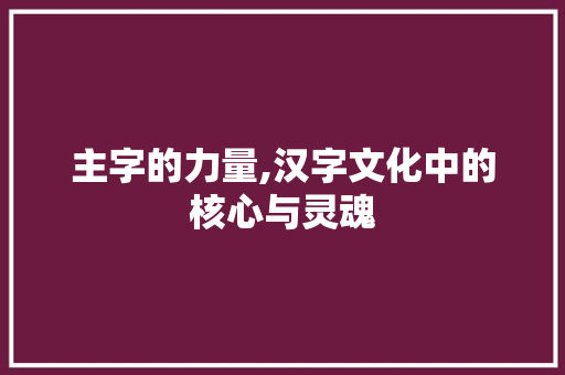 主字的力量,汉字文化中的核心与灵魂