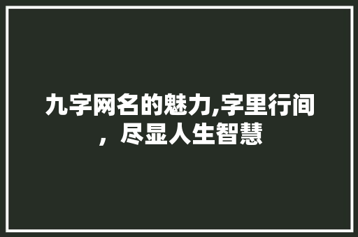 九字网名的魅力,字里行间，尽显人生智慧