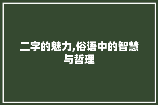 二字的魅力,俗语中的智慧与哲理