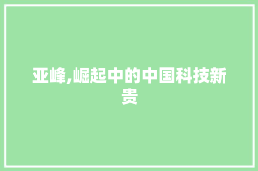 亚峰,崛起中的中国科技新贵