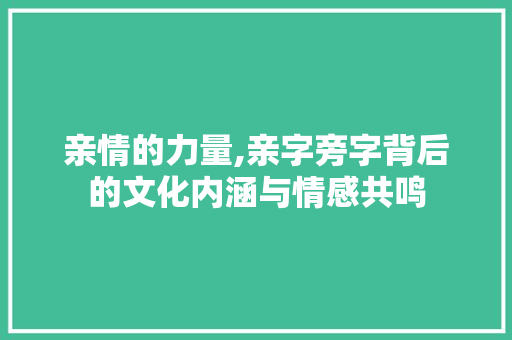亲情的力量,亲字旁字背后的文化内涵与情感共鸣