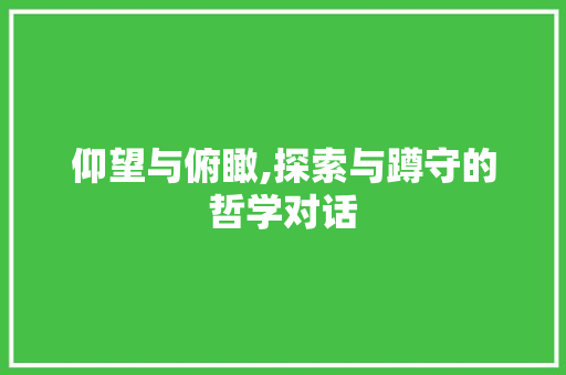 仰望与俯瞰,探索与蹲守的哲学对话