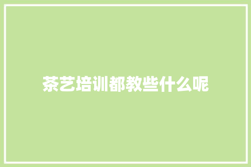 茶艺培训都教些什么呢