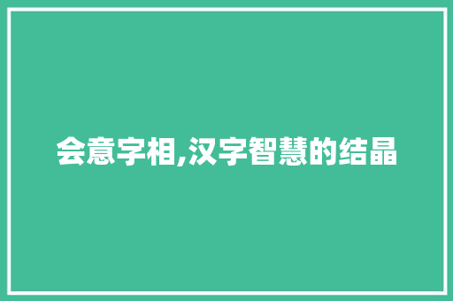会意字相,汉字智慧的结晶