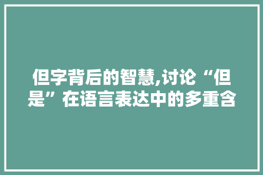 但字背后的智慧,讨论“但是”在语言表达中的多重含义与运用