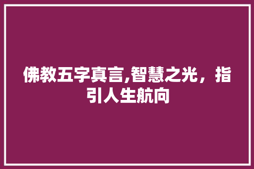佛教五字真言,智慧之光，指引人生航向