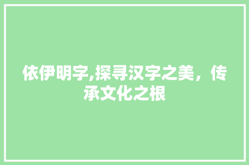 依伊明字,探寻汉字之美，传承文化之根