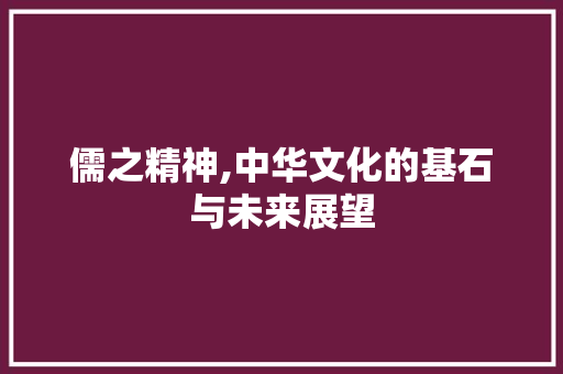 儒之精神,中华文化的基石与未来展望