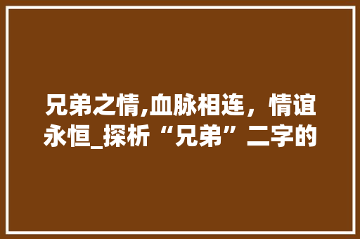 兄弟之情,血脉相连，情谊永恒_探析“兄弟”二字的文化内涵及当代价值