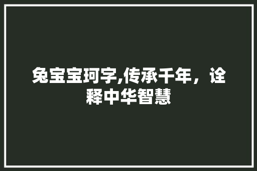 兔宝宝珂字,传承千年，诠释中华智慧