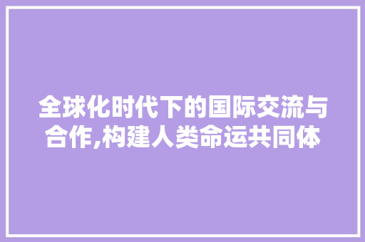 全球化时代下的国际交流与合作,构建人类命运共同体的方法路径